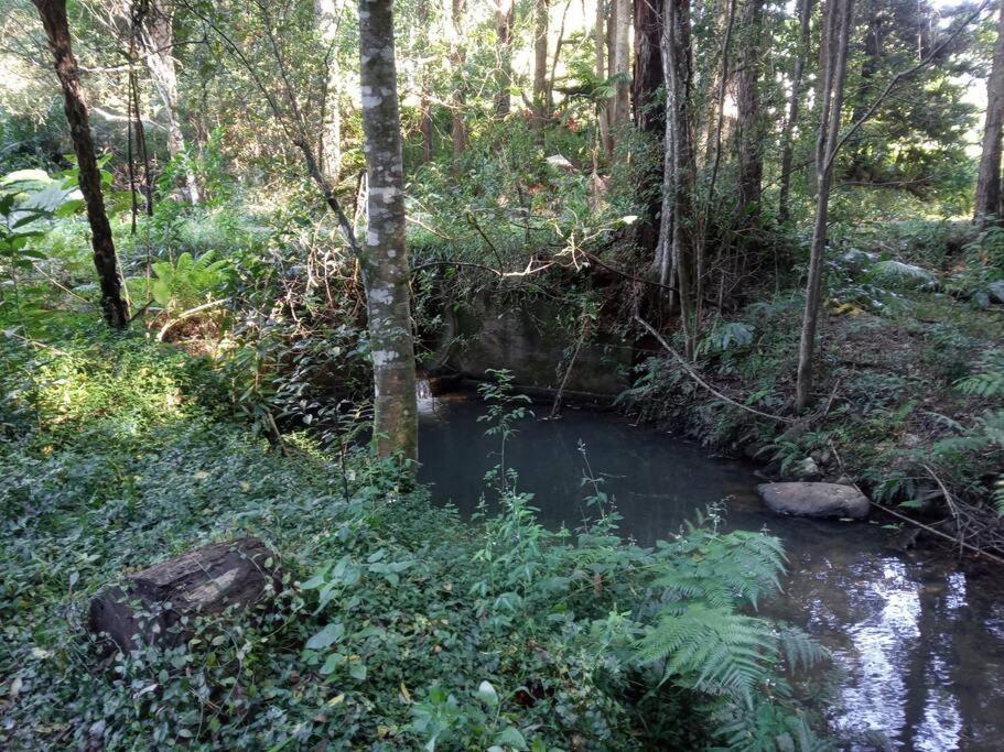 Sweetwater Cottage. A Private Mountain Escape Upper Burringbar ภายนอก รูปภาพ